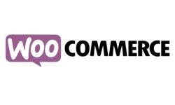 Woocommerce SEO Service